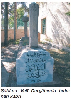Seyyid Ahmed Sünnetî Rahmetullahi aleyh